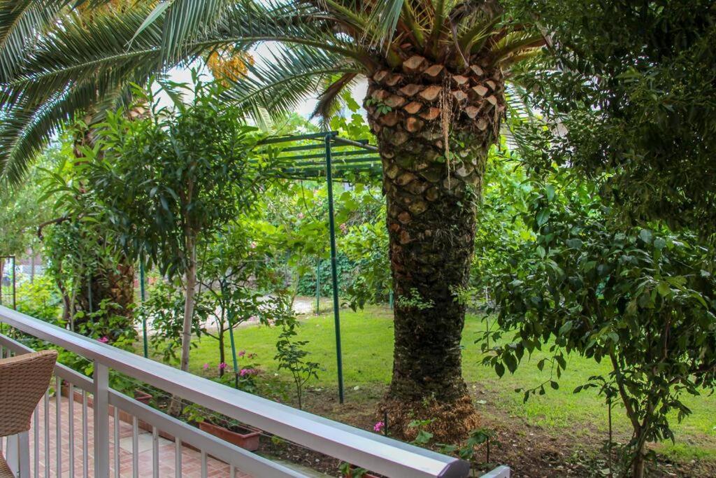 Studios Periklis Limenas  Luaran gambar